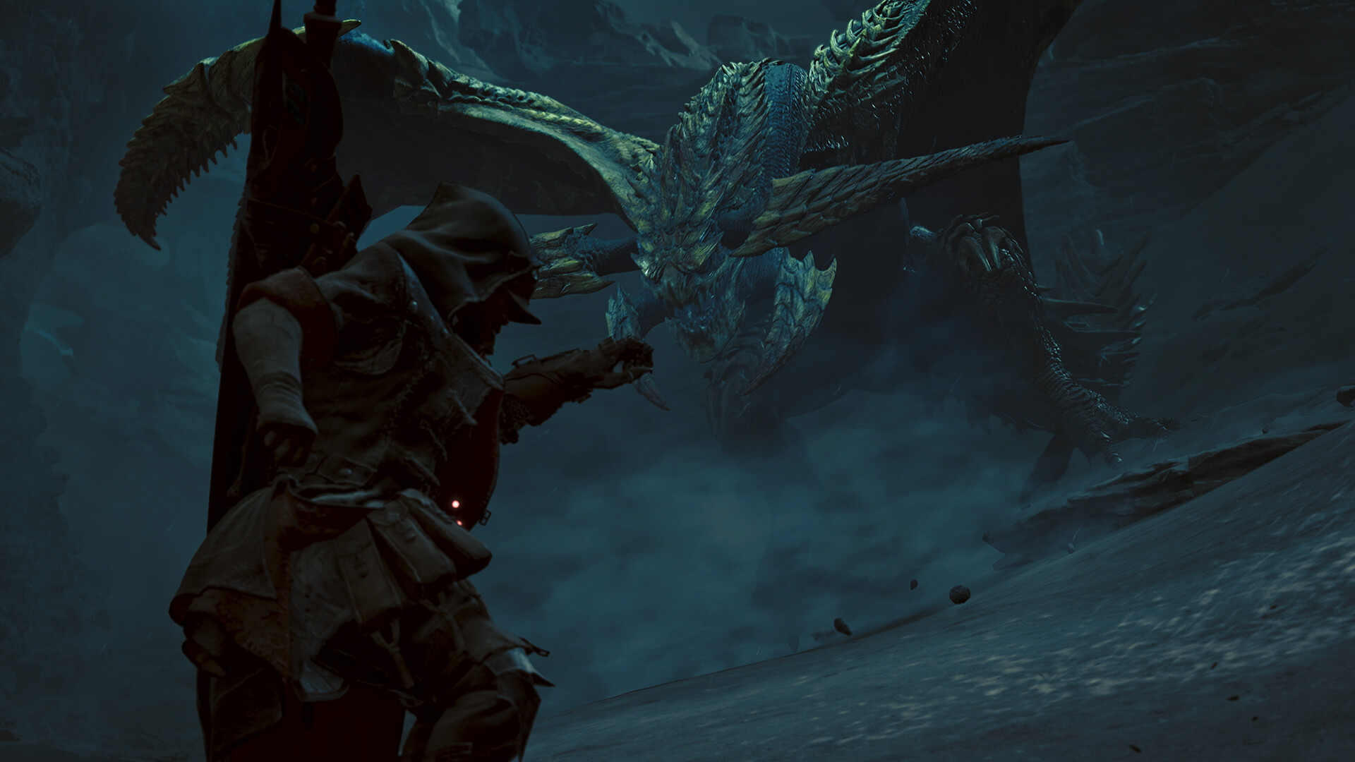 怪物猎人:荒野/Monster Hunter Wilds 怪物猎人:荒野/Monster Hunter Wilds