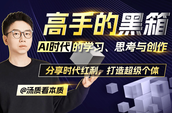 高手的黑箱：AI时代学习与创作-止水留痕