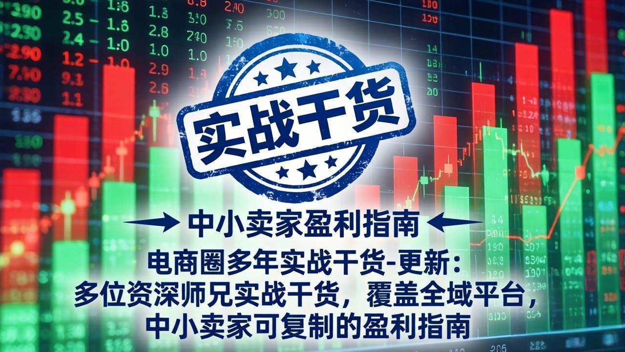 电商圈多年实战干货-更新5月20:多位资深师兄实战干货/覆盖全域平台,中小卖家可复制的盈利指南-止水留痕