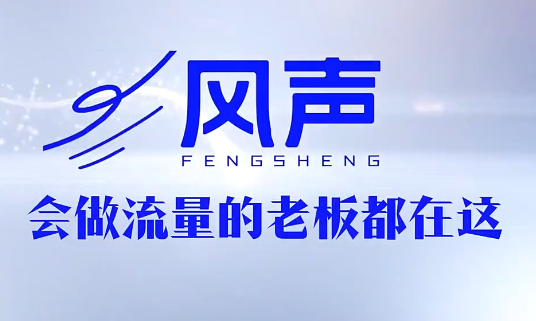 董十一·风声短视频AI获客年度会员-止水留痕