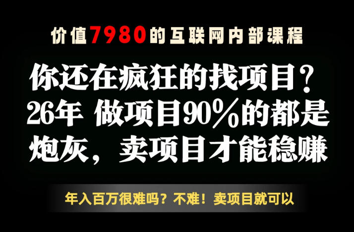 26年请不要疯狂的找项目了，卖项目远比你想象的暴利，你也可以月入10W+【揭秘】-止水留痕