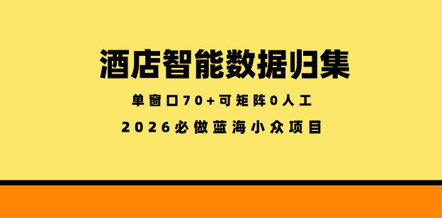 酒店智能数据归集，小众蓝海已经稳定半年之久，单窗口70+零成本矩阵开干【揭秘】-止水留痕